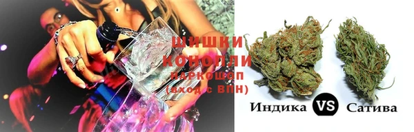 ПСИЛОЦИБИНОВЫЕ ГРИБЫ Кодинск