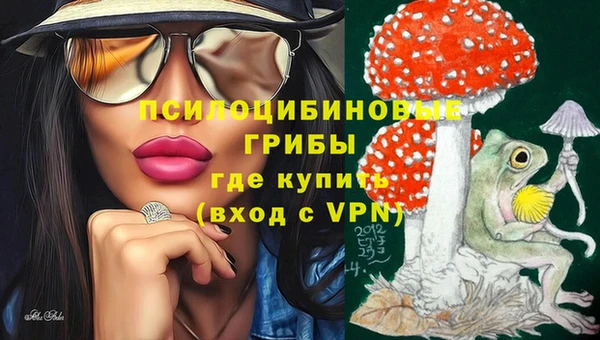 тгк Костерёво