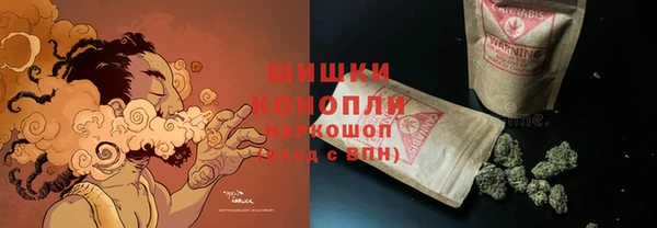 ПСИЛОЦИБИНОВЫЕ ГРИБЫ Кодинск