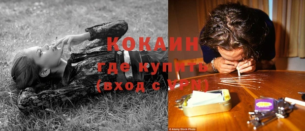 дмт Кинешма