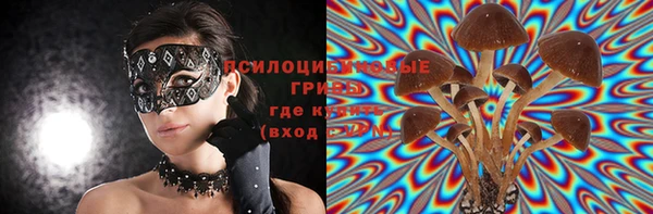 тгк Костерёво