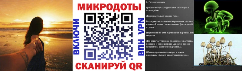 Псилоцибиновые грибы GOLDEN TEACHER  Сергач 